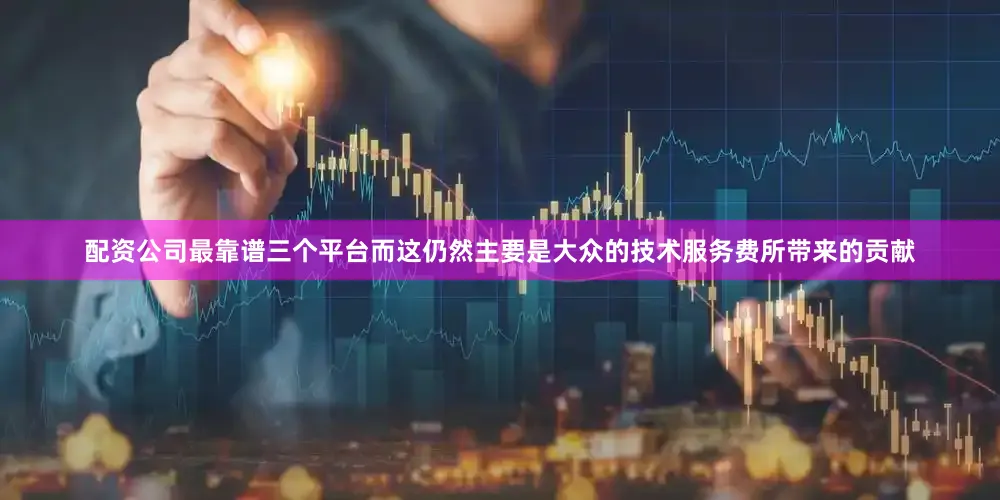 配资公司最靠谱三个平台而这仍然主要是大众的技术服务费所带来的贡献