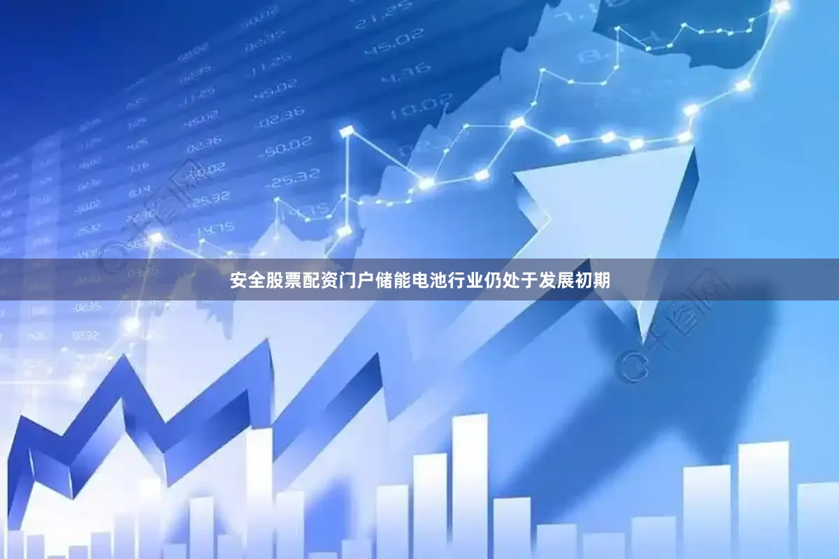 安全股票配资门户储能电池行业仍处于发展初期