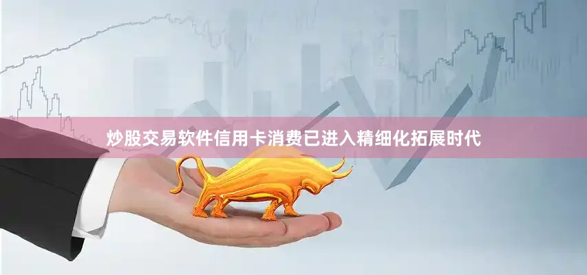 炒股交易软件信用卡消费已进入精细化拓展时代