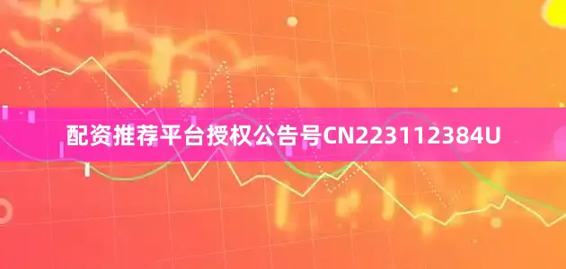 配资推荐平台授权公告号CN223112384U