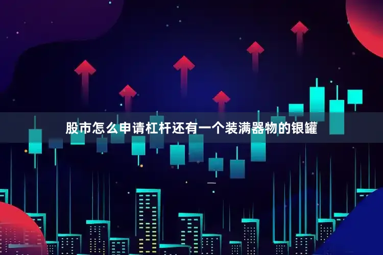 股市怎么申请杠杆还有一个装满器物的银罐
